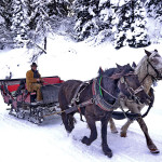 ALP vacanze invernali Moena 2015